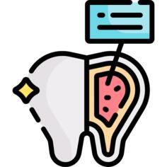 Tooth