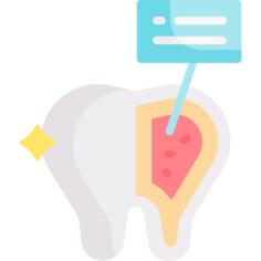 Tooth