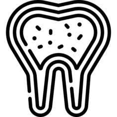 Tooth