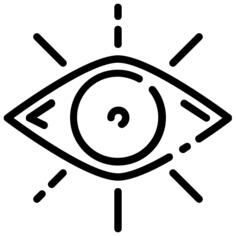 Vision