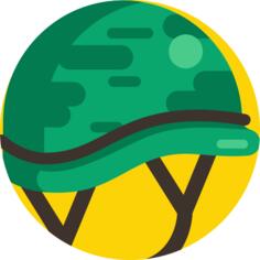 Helmet