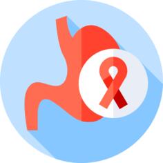 Stomach