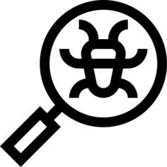 Virus