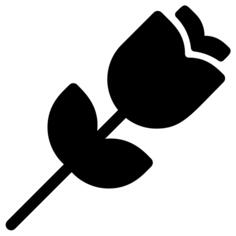 Rose flower