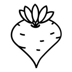 红菜头