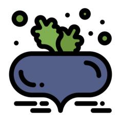 红菜头