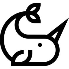 Narwhal