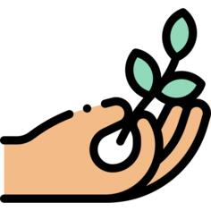 Branch
