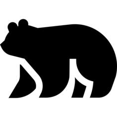 北极熊