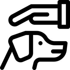 宠物护理