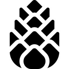 Pine cone
