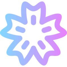 天竺葵