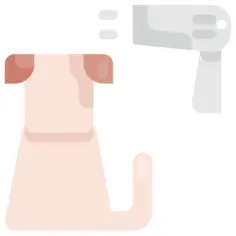 Dryer