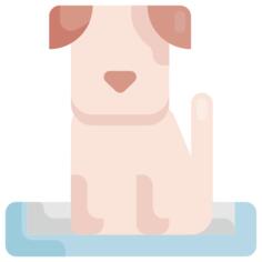Pet bed