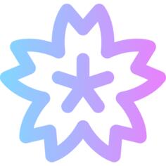 樱花盛开