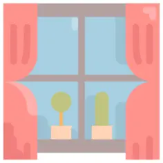 Window