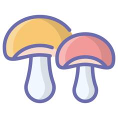 蘑菇