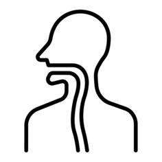 Throat
