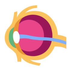 Eye
