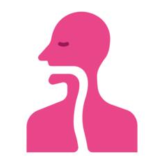 Throat