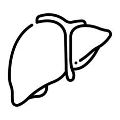 肝