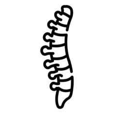 Spine