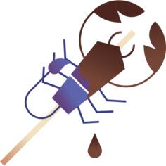 Insect