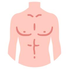 Human body
