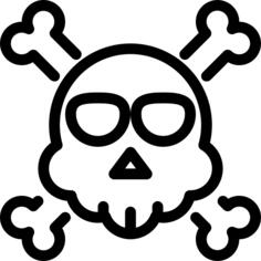 头骨
