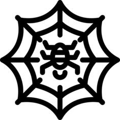 Spider web