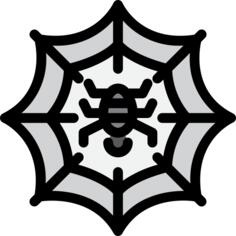 Spider web