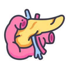 Pancreas