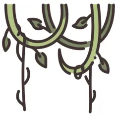 Vine