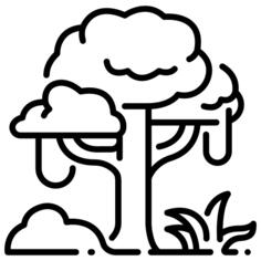 树