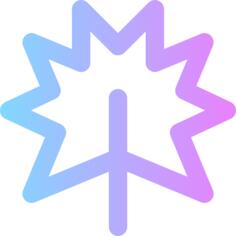 枫叶