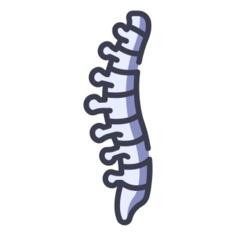 Spine