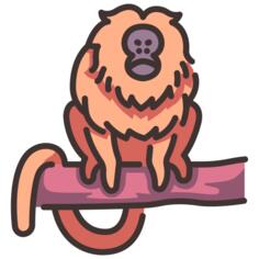 金狮猴