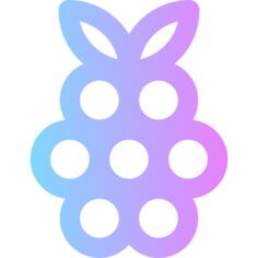 Raspberry