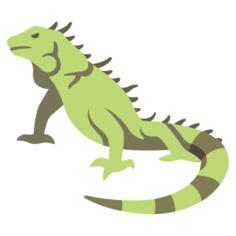 鬣蜥