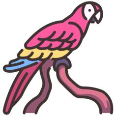 金刚鹦鹉