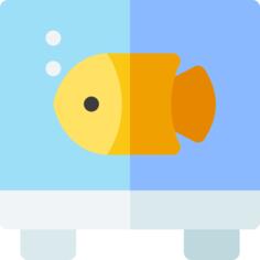 鱼