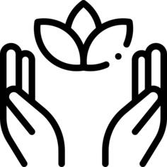 莲花
