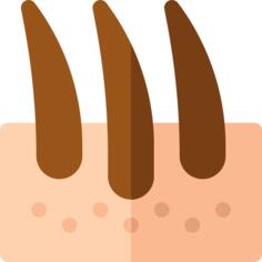 Dermathology