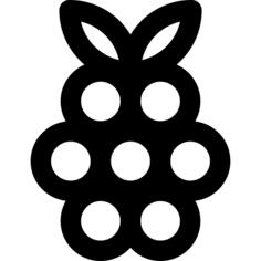 Raspberry