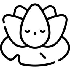 莲花