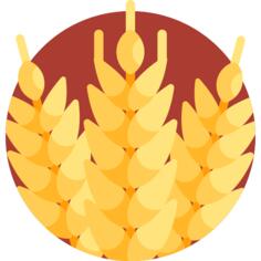 Wheat