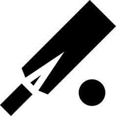 Cricket