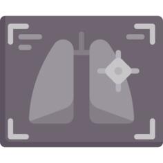 X ray