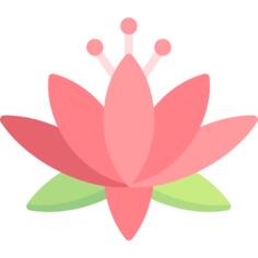 Lotus flower