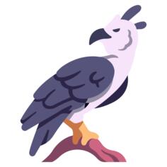 鹰身鹰